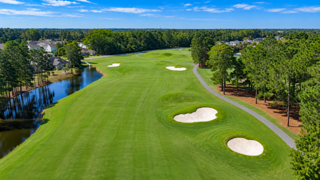 Wild Wing 18th