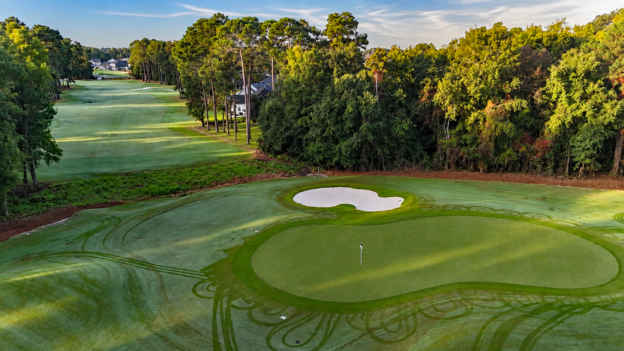 Wild Wing 4th Hole