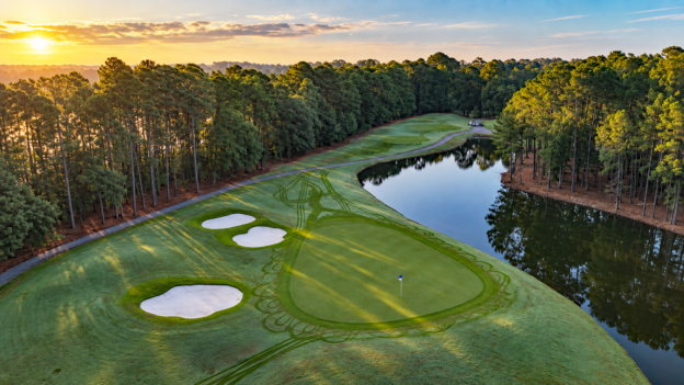 Wild Wing 5th Hole