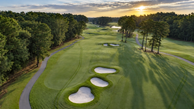 Wild Wing 9th Hole