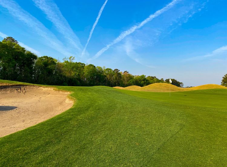 Wild Wing Golf Course Conway, SC Minutes from Myrtle Beach