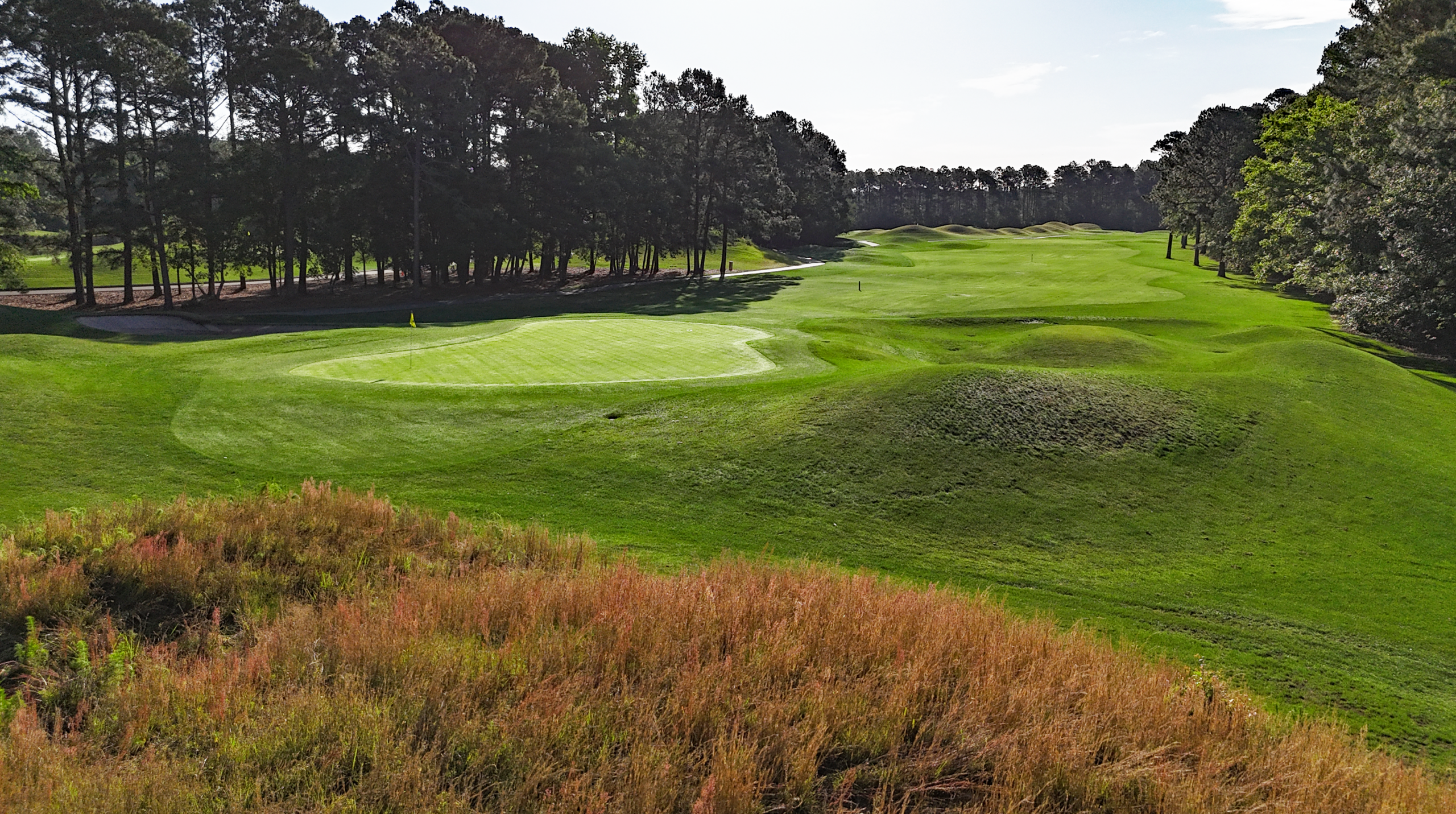 Wild Wing 16th Behind