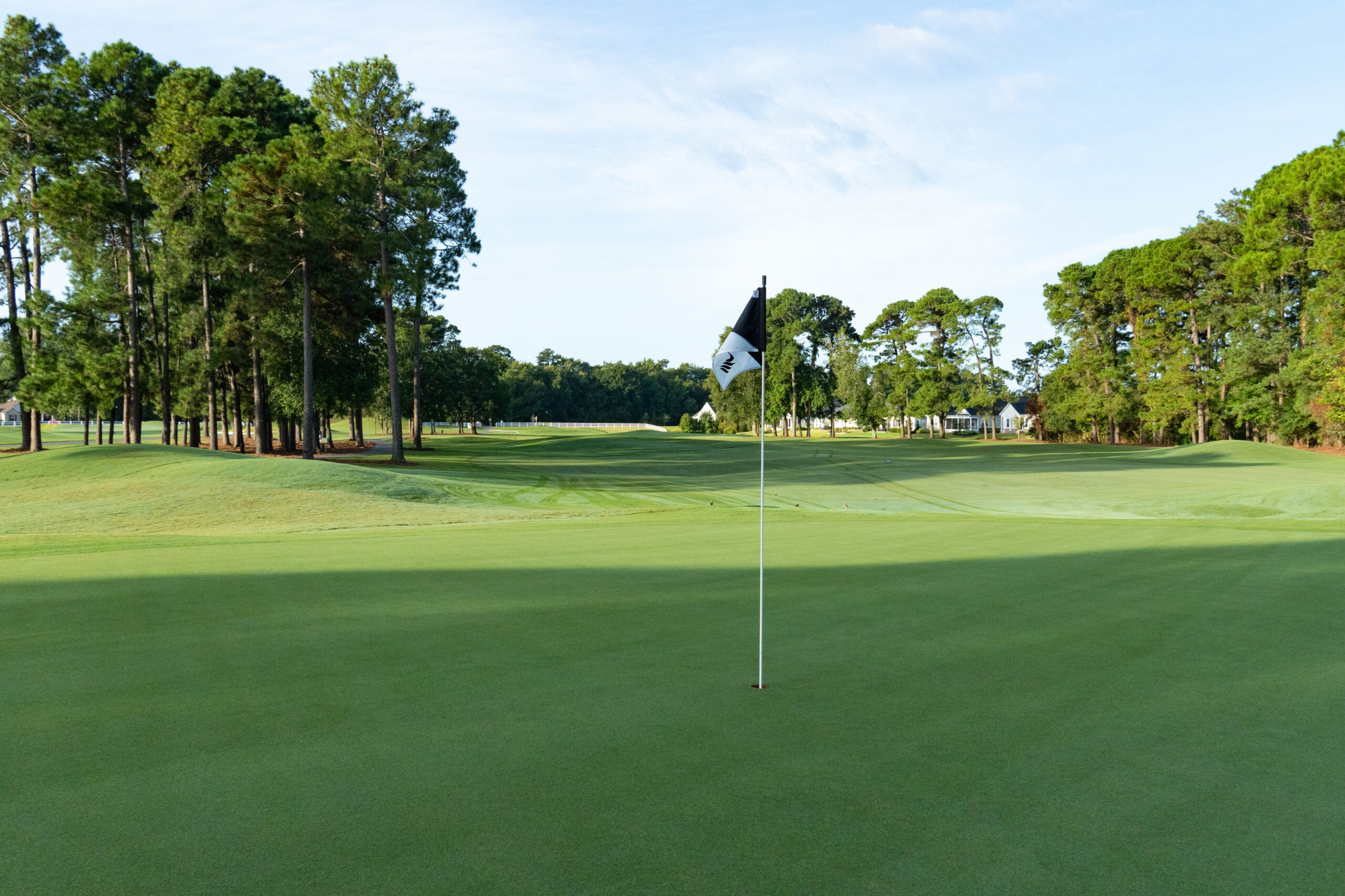 Get a Free Quote to Play the All-New Avocet Course This Fall