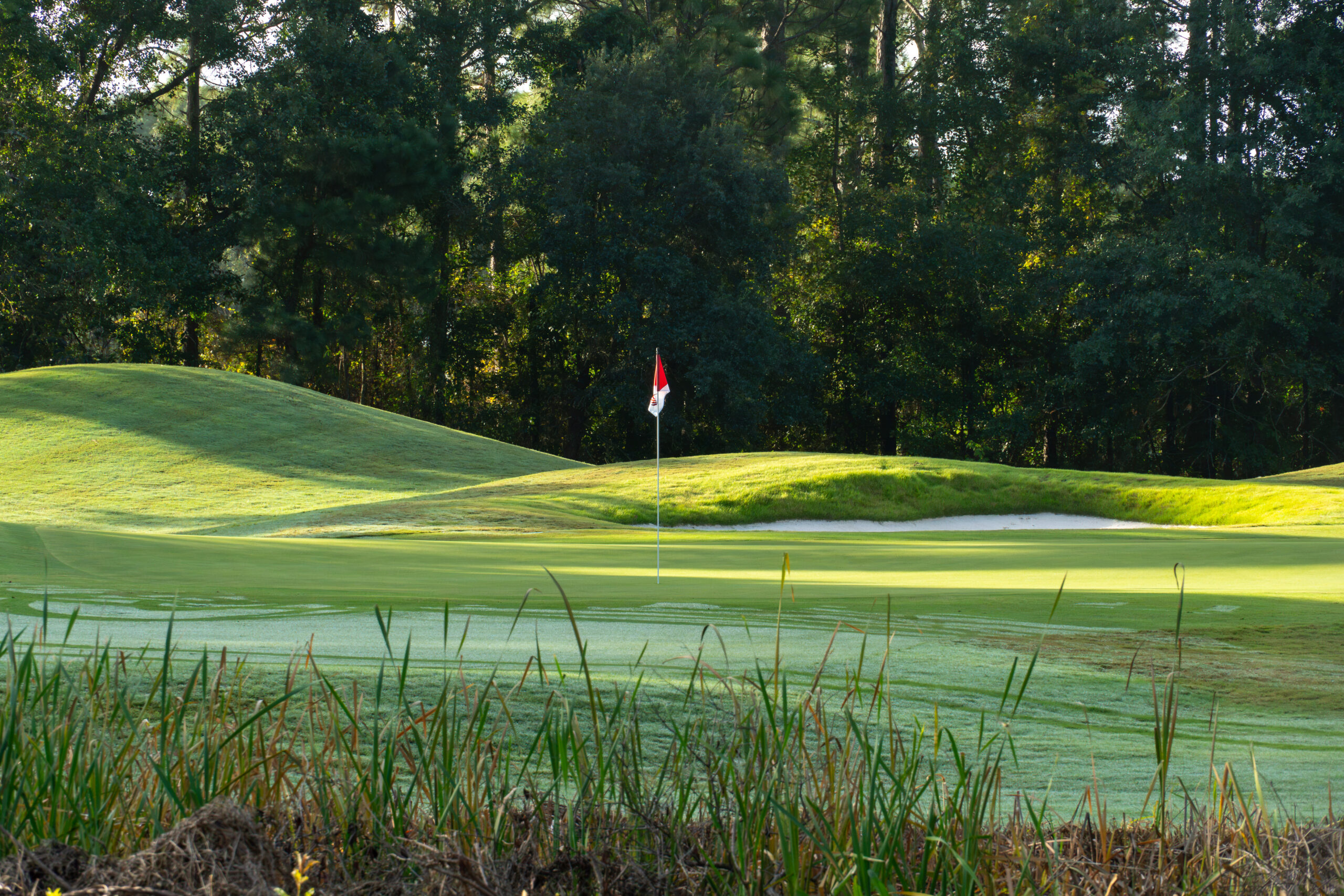 Wild Wing 3 Green 091626 DS